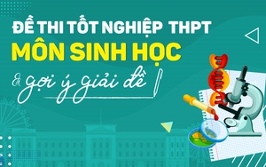 Đề thi môn Sinh học tốt nghiệp THPT quốc gia 2022