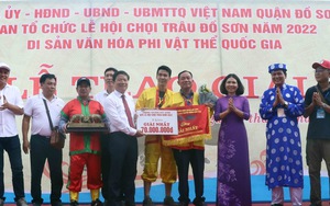 Lễ hội chọi trâu truyền thống Đồ Sơn: Trâu số 08 phường Bàng La giành giải Nhất