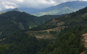 Nghiên cứu, giải mã các khối đá khắc cổ mới phát hiện tại Mù Cang Chải, Yên Bái