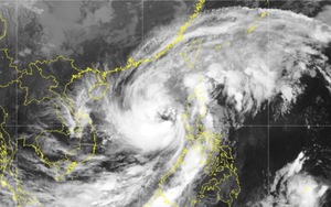 Bão số 7 di chuyển theo hướng Tây Tây Bắc, sau đó đổi sang hướng Bắc