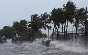 Tâm bão số 7 trên vùng biển phía Đông khu vực Bắc Biển Đông