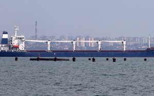 Nga dừng tham gia thỏa thuận xuất khẩu ngũ cốc của Ukraine qua Biển Đen