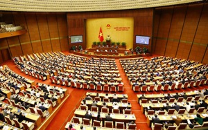 Xử lý kỷ luật cán bộ nghiêm khắc nhưng phải có lý, có tình