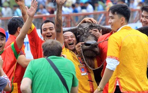 Lễ hội chọi trâu truyền thống Đồ Sơn diễn ra từ ngày 27/8 đến 11/9