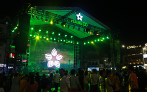 Hàng nghìn bạn trẻ chung tay ghép bức tranh mosaic khổng lồ tại Hồ Gươm