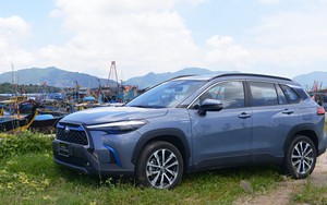 Xe lai: Sự kỳ quặc hay bước đệm an toàn?