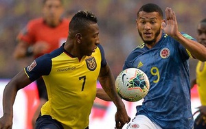 Soi kèo nhà cái Colombia vs Ecuador. Nhận định, dự đoán bóng đá World Cup 2022 (04h00, 15/10)