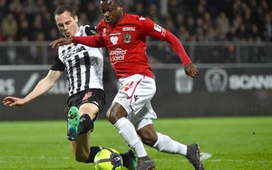 Soi kèo nhà cái Angers vs Nice. Nhận định, dự đoán bóng đá Pháp (19h00, 31/10)