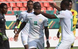 Soi kèo nhà cái Senegal vs Guinea. Nhận định, dự đoán bóng đá châu Phi (20h00, 14/1)