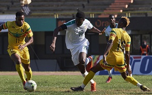 Soi kèo nhà cái Zimbabwe vs Guinea. Nhận định, dự đoán bóng đá châu Phi (23h00, 18/1)