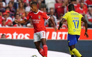 Soi kèo nhà cái Midtjylland vs Benfica. Nhận định, dự đoán bóng đá Cúp C1 (0h45, 10/8)