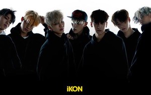 Fan iKON tại Hàn Quốc đồng loạt kêu gọi tẩy chay YG