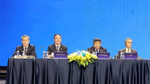 Công ước Hà Nội: Phiên thảo luận toàn thể thứ hai