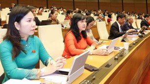 Kỳ họp thứ 10, Quốc hội khóa XV: Giám sát việc thực hiện pháp luật về bảo vệ môi trường