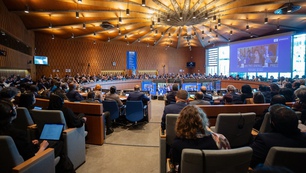 Điểm lại 11 di sản tư liệu của Việt Nam được UNESCO ghi danh