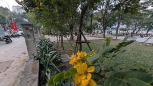 Góc nhìn 365: Năm mới và công viên mới