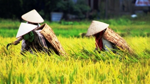 Chữ và nghĩa: Già cũng có ba, bảy kiểu già