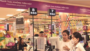 Kết luận của Thủ tướng Chính phủ về phát triển kinh tế số, xã hội số