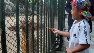 Góc nhìn 365: Công viên Thủ Lệ và hành trình nối dài ký ức đô thị