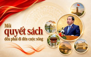 Mỗi quyết sách đều phải đi đến cuộc sống