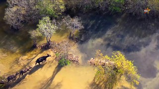 Mỗi thước phim - một Đại sứ Du lịch từ cuộc thi “Ấn tượng Du lịch Việt Nam”