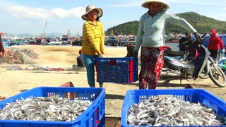 Ăn Tết trên biển (Bài 1): Cờ Tổ quốc không bao giờ ngừng bay trên biển