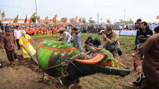 Khai hội Tịch điền, xem vua đi cày