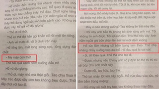 Đình chỉ phát hành truyện cổ tích “Thỏ trắng và Hổ xám” vì dung tục