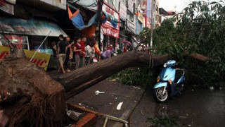 Mưa dông bất ngờ, Hà Nội như bãi chiến trường, 1 người chết, 3 người nguy kịch