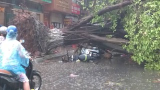 Thót tim với những pha hút chết trong cơn dông ở Hà Nội
