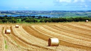 Kinh ngạc kế hoạch chuyển toàn bộ Hong Kong tới Bắc Ireland