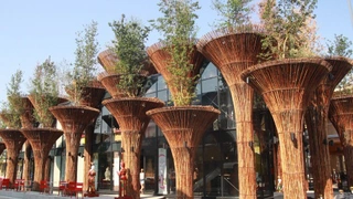 Người phát ngôn Bộ VH,TT&DL: Khẩn trương rà soát thực trạng 'Ngôi nhà Việt Nam' tại Expo Milan