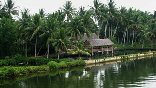 Chùm ảnh du lịch: Quảng Ngãi, 'Người đẹp ngủ trong rừng'