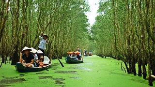 Tour Hà Nội - Cần Thơ- Châu Đốc -Nha Trang: Đi tìm cảm giác mới