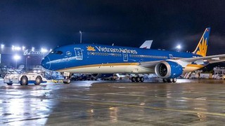 Vietnam Airlines điều chỉnh lịch bay do chim va vào động cơ máy bay