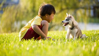 Nếu tìm kiếm niềm vui nhưng không thấy, chuyên gia thần kinh học khuyên bạn hãy áp dụng 10 cách để tự sản sinh hormone hạnh phúc