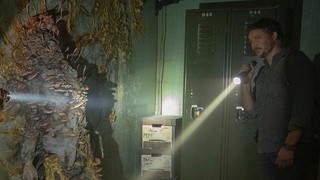 Giải mã loài nấm ký sinh có thể biến vật chủ thành ‘zombie’ đã truyền cảm hứng cho The Last Of Us