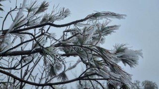 Không khí lạnh tăng cường gây rét đậm tại miền Bắc