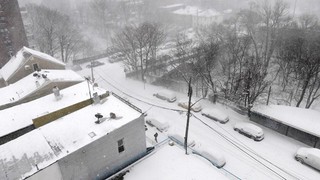 New York trải qua đợt 'hạn hán' tuyết mùa Đông dài nhất lịch sử