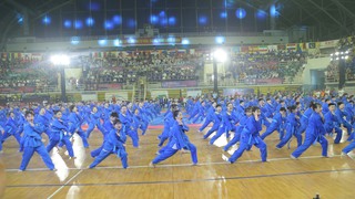 TP.HCM tưng bừng mở hội Vovinam thế giới 2023