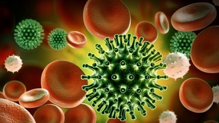Phát hiện ra loại protein mới có thể ngăn chặn virus SARS-CoV-2