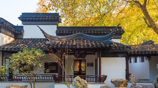 Khu vườn cổ 600 năm trường tồn cùng tuế nguyệt, cảnh sắc 4 mùa đẹp vĩnh cửu giữa thành phố Nam Kinh