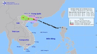 Bão số 1: Sức gió mạnh nhất vùng gần tâm bão mạnh cấp 10, giật cấp 12