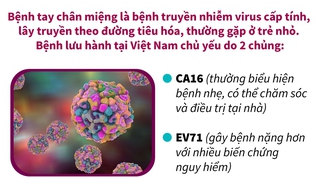 7 tháng năm 2023: Gần 15.000 ca mắc tay chân miệng, Bộ Y tế cảnh báo dịch gia tăng