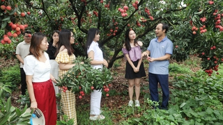 Bắc Giang: Phát triển các sản phẩm du lịch nông thôn