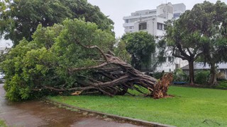 Nhật Bản, Hàn Quốc, Triều Tiên tăng cường ứng phó với bão Khanun
