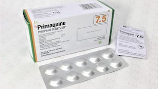 Hiệu quả của sử dụng thuốc chống sốt rét primaquine liều cao