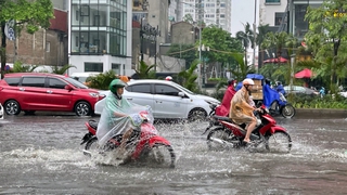 Bắc Bộ mưa vừa, có nơi mưa rất to