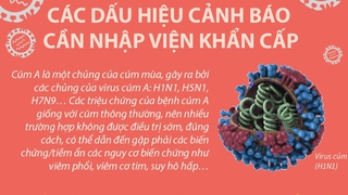 Cúm A: Các dấu hiệu cảnh báo cần nhập viện khẩn cấp