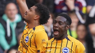 Nhận định, soi tỷ lệ Brighton vs Wolves 21h hôm nay 26/9, Ngoại hạng Anh vòng 9